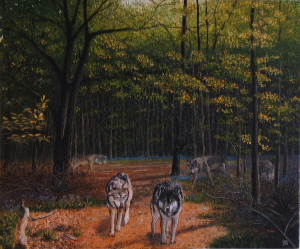 wolves_in_forest